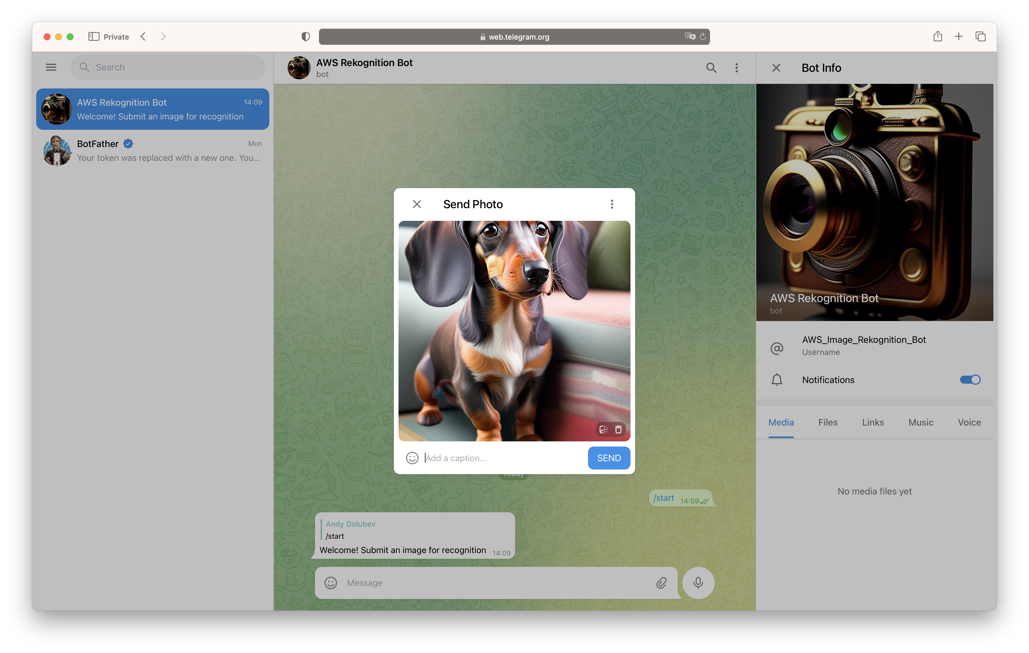 demo image 1